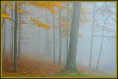 4-Babcock State Park