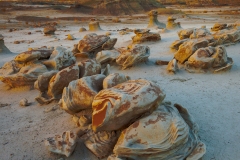 Bisti-Badlands-NM-10