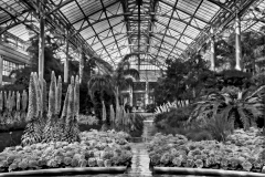 30-Longwood Gardens, Kennett Square, Pa