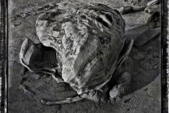 33-Bisti Wilderness Area, NM