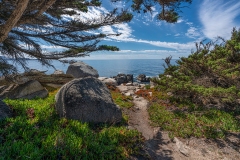 17-Mile-Drive-Monterey County, CA-1