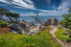 17-Mile-Drive-Monterey County, CA-2