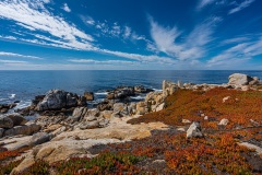 17-Mile-Drive-Monterey County, CA
