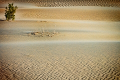 9-Mesquite Flat, Death Valley, CA