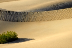 3-Mesquite Flat, Death Valley, CA
