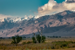 Eastern Sierra, CA-10