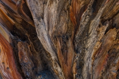 Eastern Sierra, CA-6