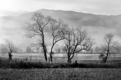 19-Cades Cove, Smoky Mountains