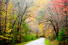 2-Cades Cove, Smoky Mountains