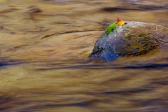 18-Cades Cove, Smoky Mountains