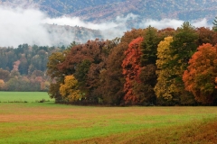 10-Cades Cove, Smoky Mountains