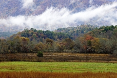 8-Cades Cove, Smoky Mountains