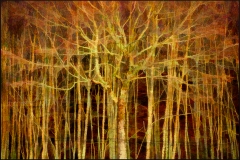 28-Oconaluftee Overlook, Smoky Mountains