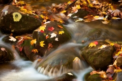 29-Oconaluftee Overlook, Smoky Mountains