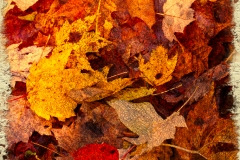 30-Oconaluftee Overlook, Smoky Mountains