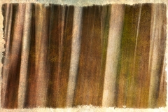 34-Little River Road, Smoky Mountains