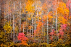 4-Cades Cove, Smoky Mountains