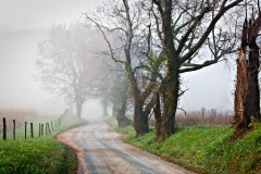 1-Cades Cove, Smoky Mountains