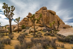 2-Joshua Tree, CA
