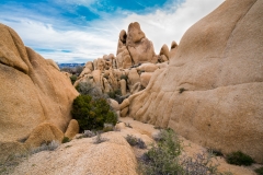 3-Joshua Tree, CA