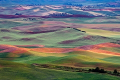 1-Steptoe Butte, Palouse
