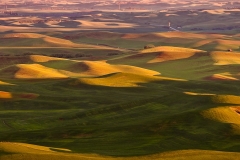 4-Steptoe Butte, Palouse