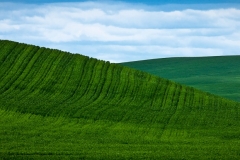 2-Palouse