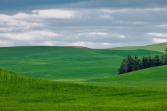 3-Palouse