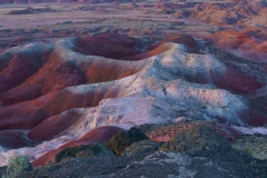 Petrified Forest-5, AZ