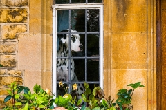 Bourton-on-the-Water-Cotswolds, UK
