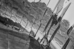 20-Walt Disney Concert Hall