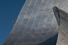 14-Walt Disney Concert Hall