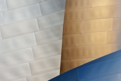 12-Walt Disney Concert Hall